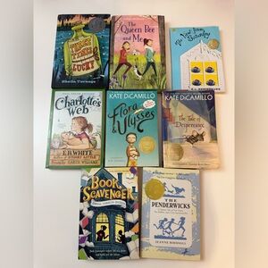 Young reader chapter book bundle